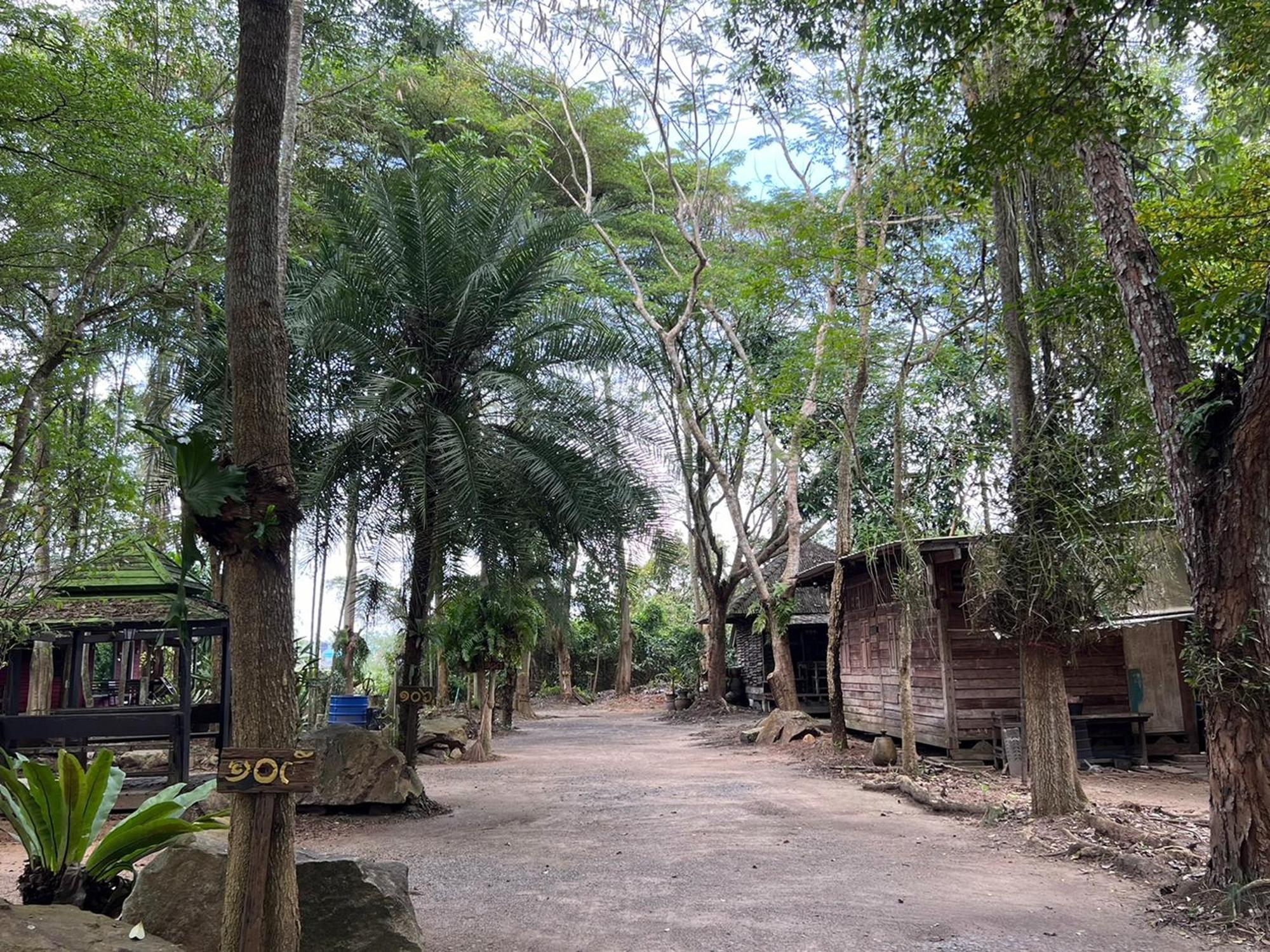 Pang Mai Resort Songkhla Ngoại thất bức ảnh