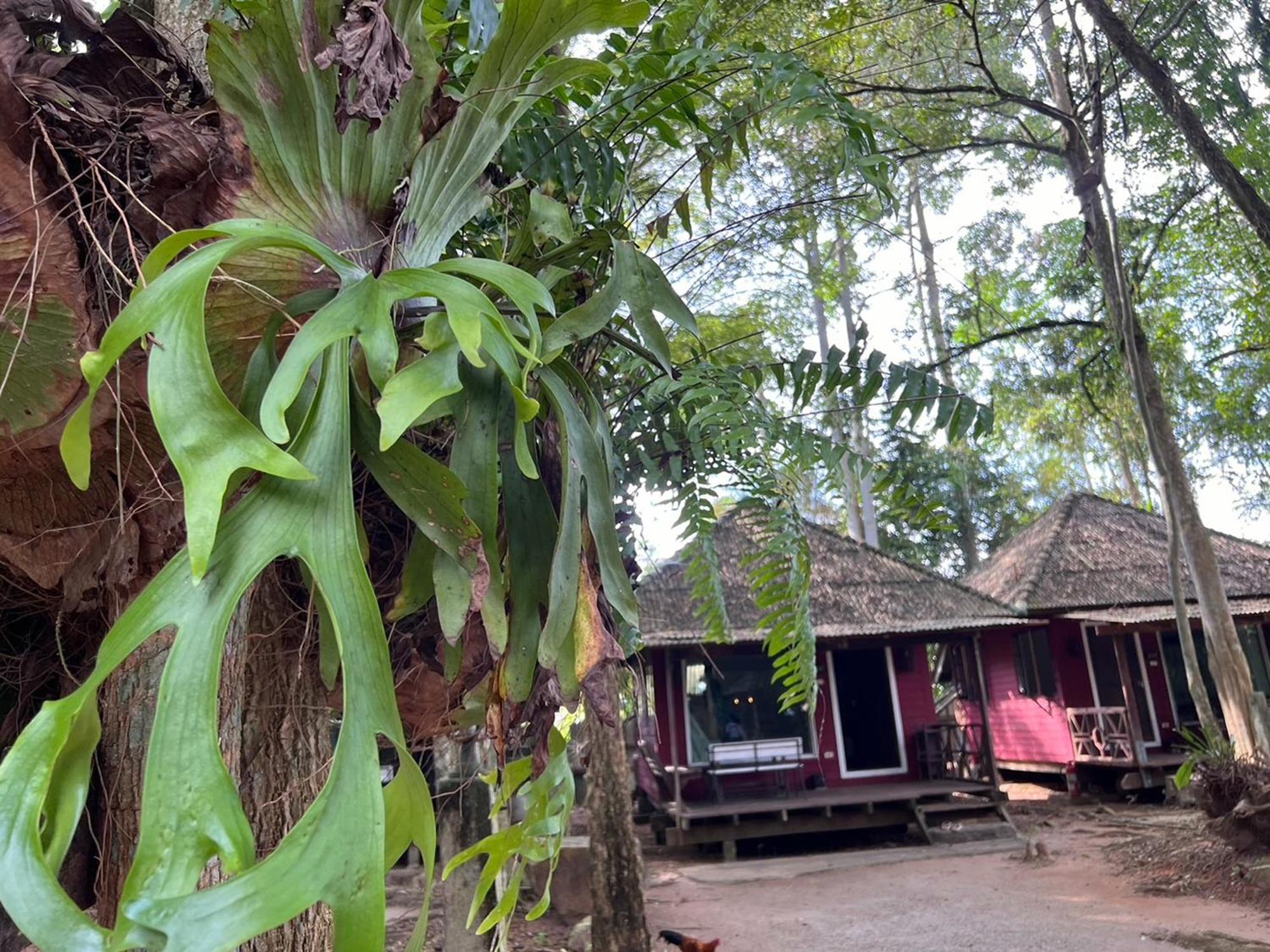 Pang Mai Resort Songkhla Ngoại thất bức ảnh