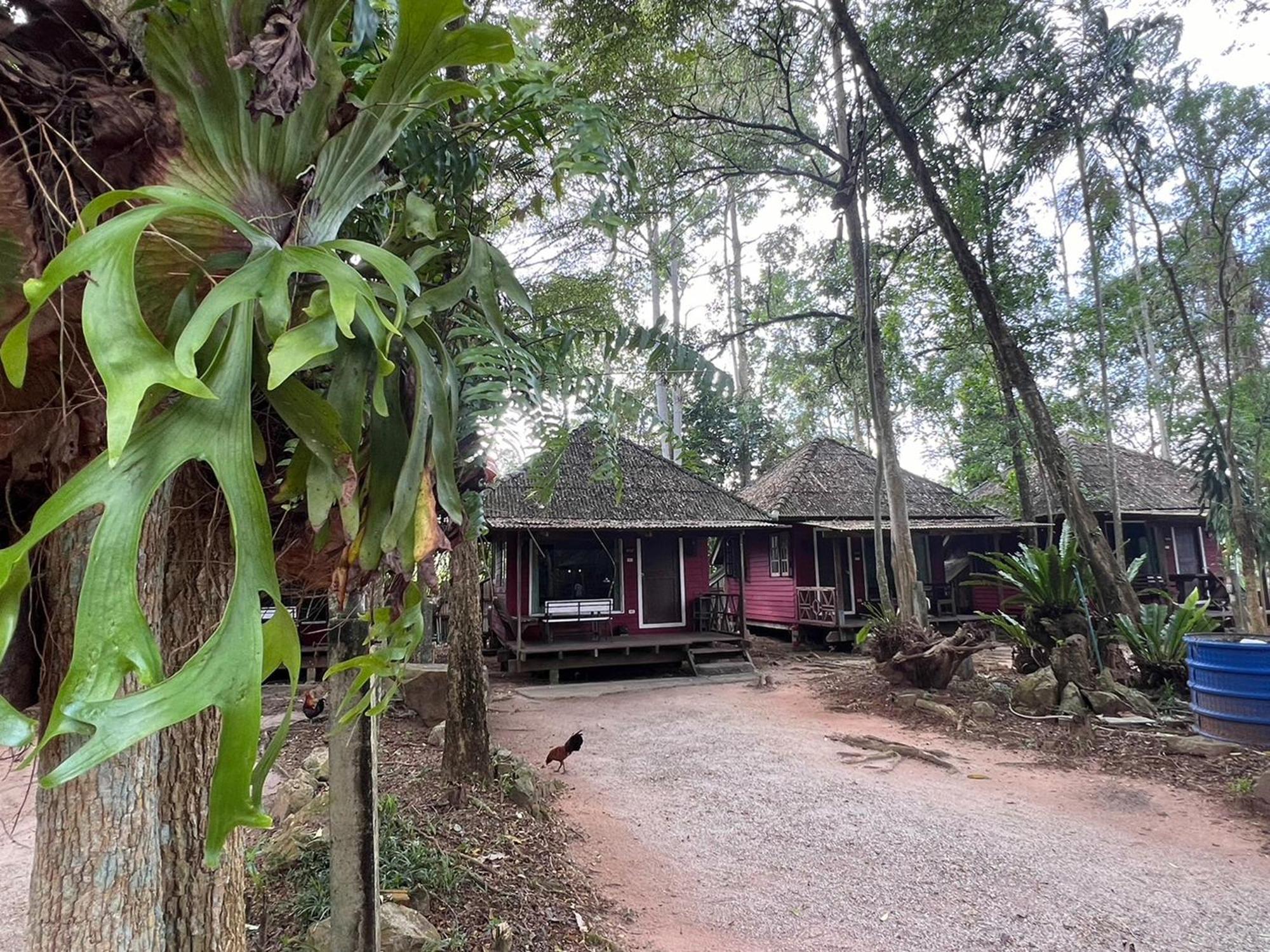 Pang Mai Resort Songkhla Ngoại thất bức ảnh