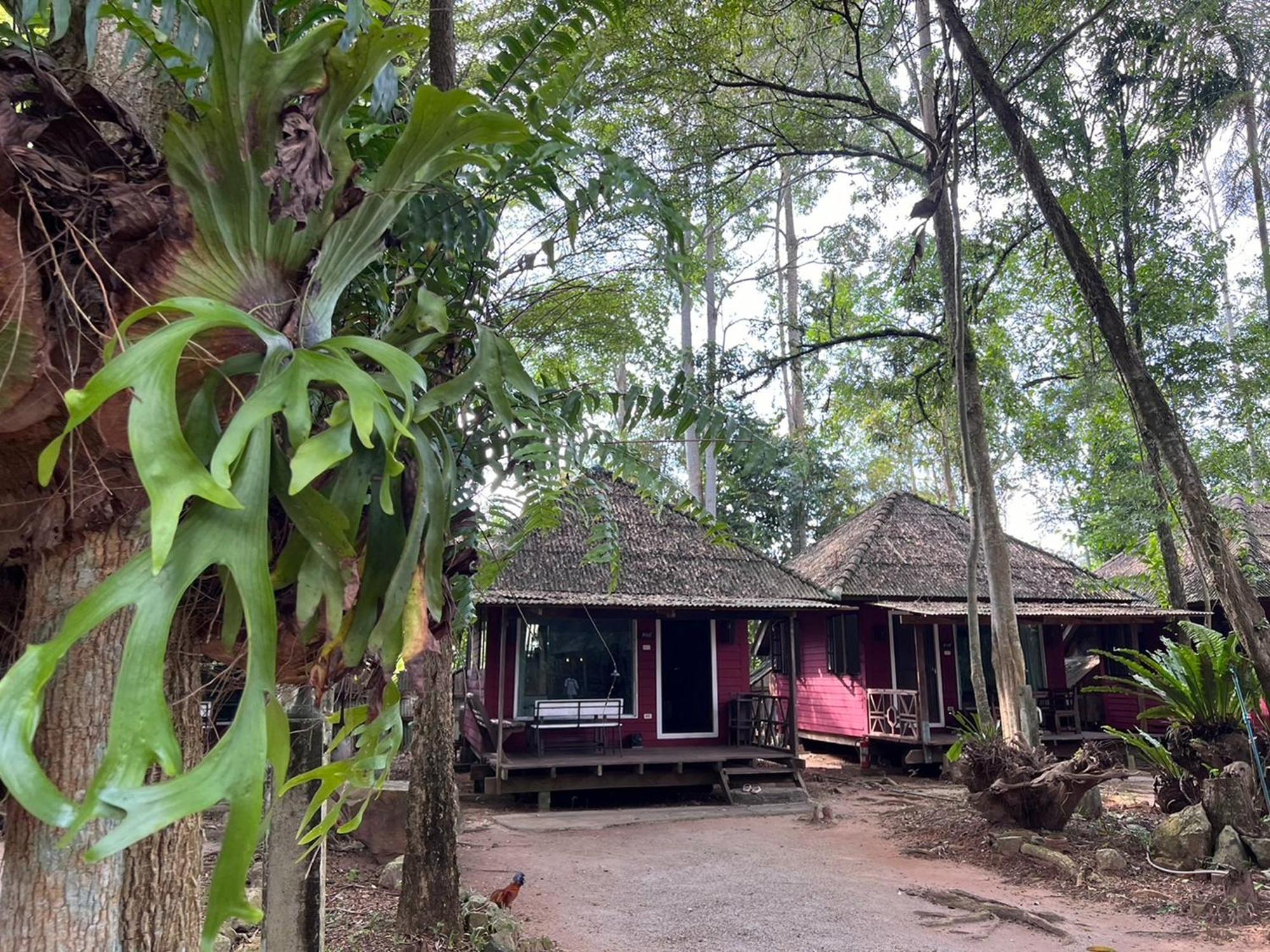 Pang Mai Resort Songkhla Ngoại thất bức ảnh
