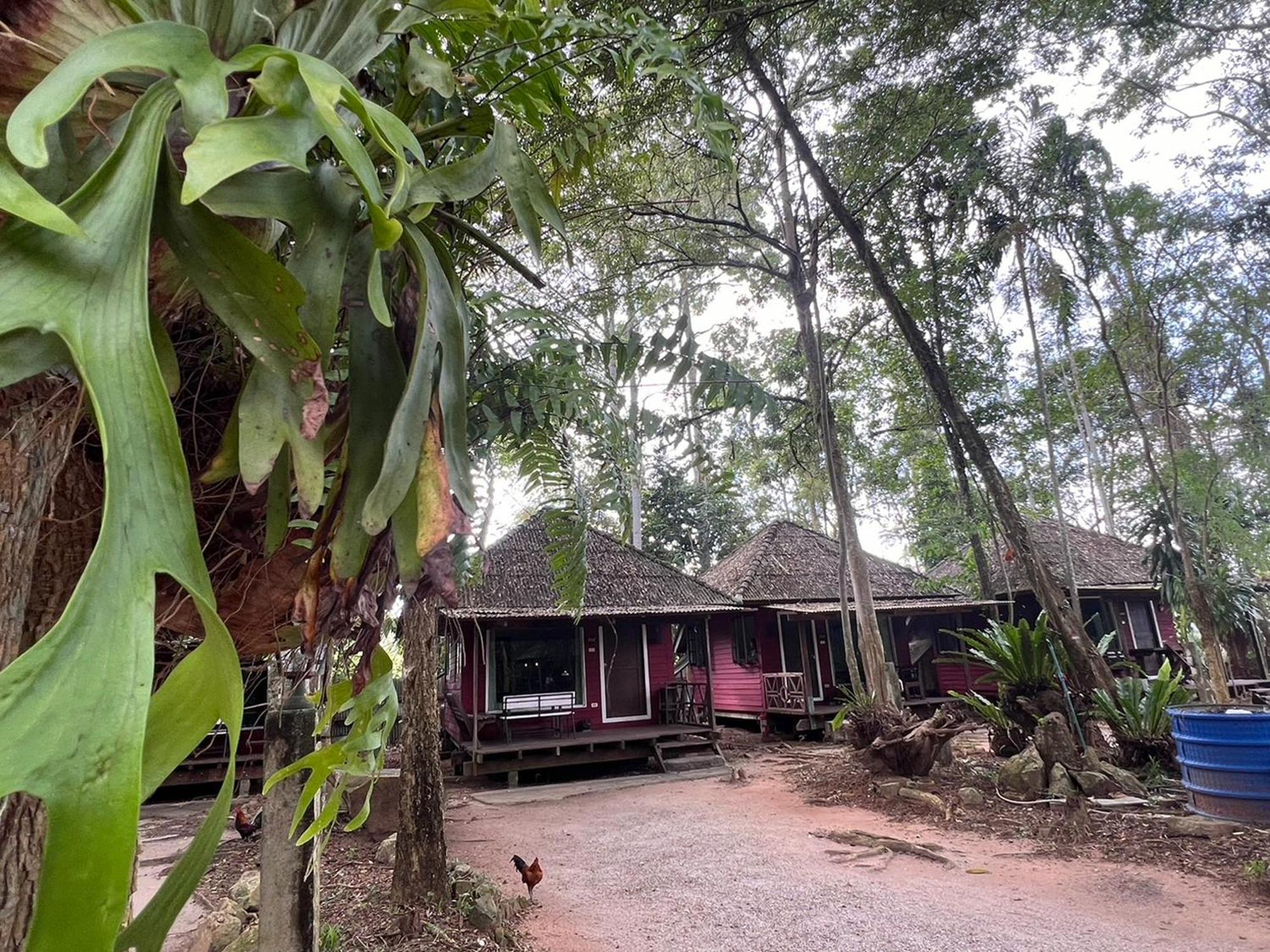 Pang Mai Resort Songkhla Ngoại thất bức ảnh