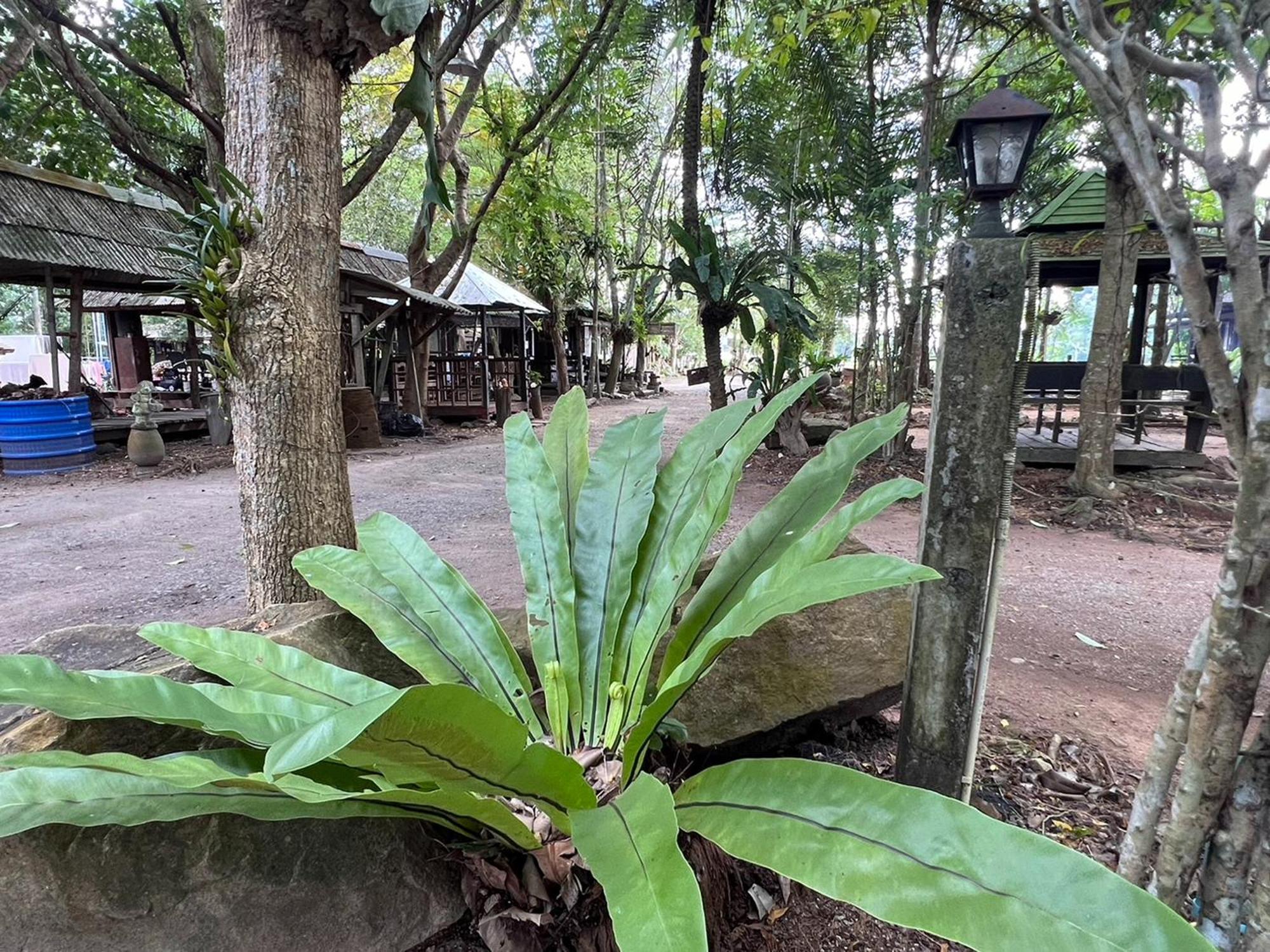Pang Mai Resort Songkhla Ngoại thất bức ảnh